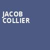 Jacob Collier, 713 Music Hall, Houston