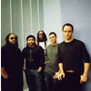 Dave Matthews Band