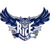 Rice Owls vs. Northwestern Wildcats