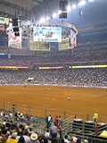 reliant-stadium
