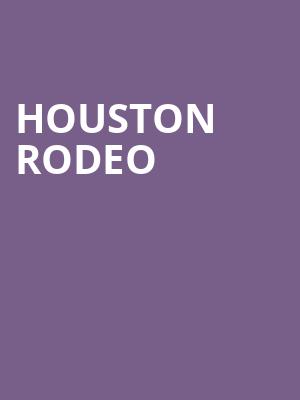 Houston Rodeo Poster