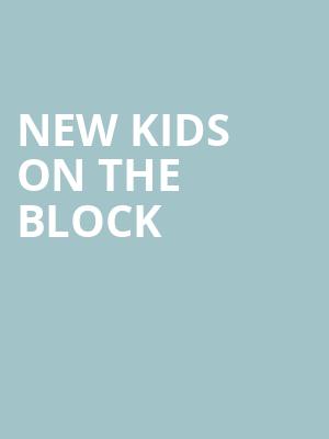 New Kids On The Block, Cynthia Woods Mitchell Pavilion, Houston