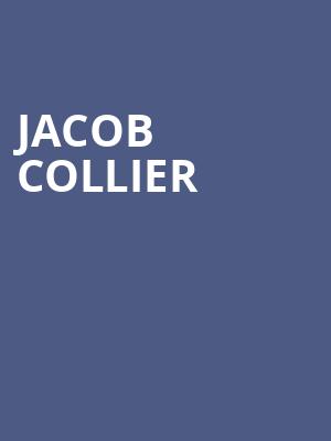 Jacob Collier, House of Blues, Houston