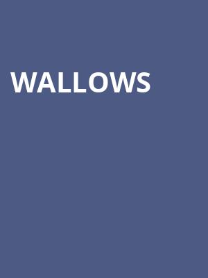 Wallows Poster