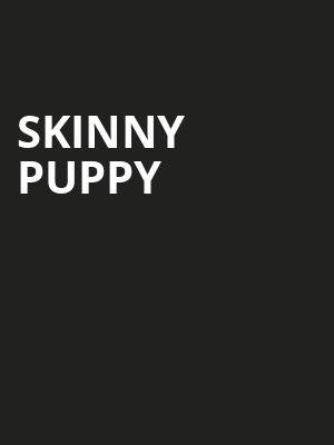 Skinny Puppy Poster