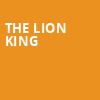 The Lion King, Sarofim Hall, Houston