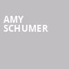 Amy Schumer, 713 Music Hall, Houston
