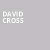David Cross, White Oak Music Hall, Houston