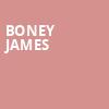 Boney James, House of Blues, Houston