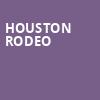 Houston Rodeo, NRG Stadium, Houston