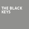 The Black Keys, Cynthia Woods Mitchell Pavilion, Houston