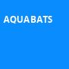Aquabats, House of Blues, Houston